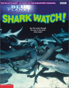 Shark Watch! 