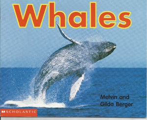 Whales 