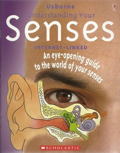 Understanding Your Senses 