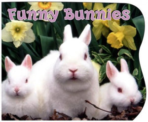 Funny Bunnies 