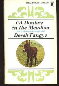 Donkey in the Meadow 