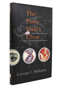 The Pony Fish's Glow 