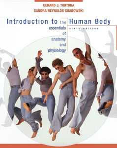 Introduction to the Human Body 