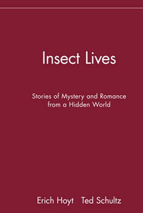 Insect Lives 