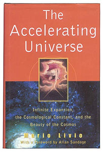 The Accelerating Universe 