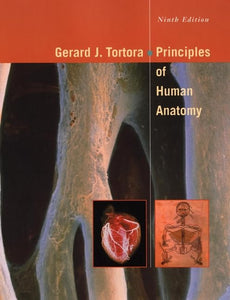 Principles of Human Anatomy 