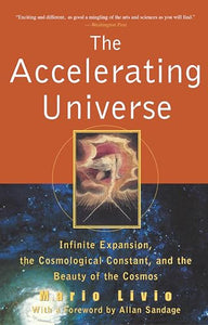 The Accelerating Universe 