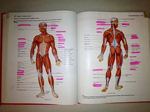 Introduction to the Human Body 