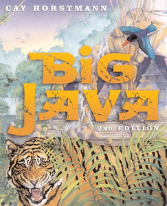 Big Java 