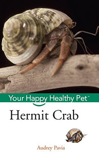 Hermit Crab 