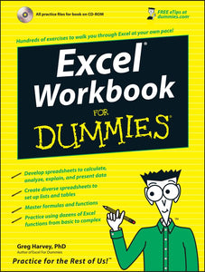 Excel Workbook For Dummies 