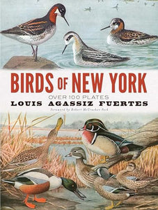 Birds of New York 