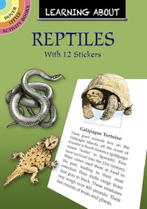 Learning About Reptiles 