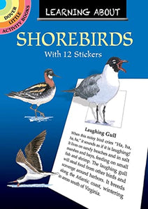 Learning About Shorebirds 