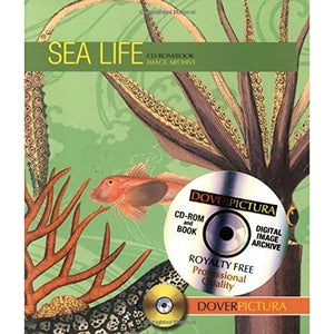 Sea Life 