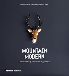 Mountain Modern 