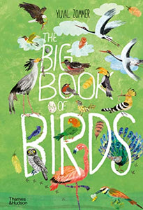 The Big Book of Birds 