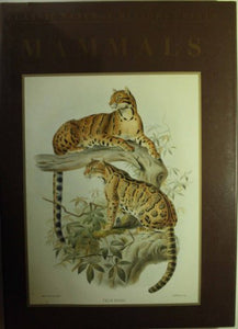 Classic Natural History Prints 