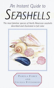 An Instant Guide to Seashells 