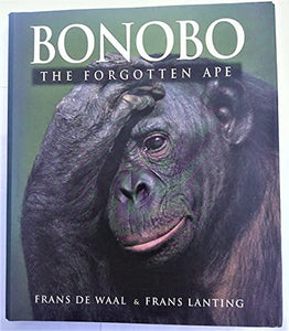 Bonobo 