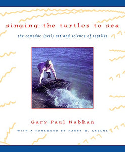 Singing the Turtles to Sea 