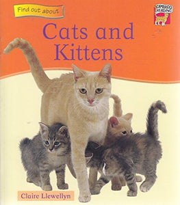 Cats and Kittens 