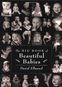 The Big Book of Beautiful Babies 