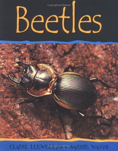 Beetles-PB 