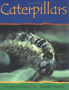 Caterpillars-PB 