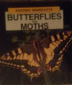 Butterflies and Moths 