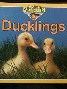 Ducklings 