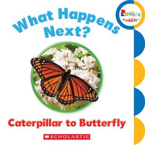 What Happens Next? Caterpillar to Butterfly 