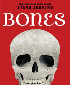 Bones Skeletons and How They Work 