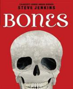 Bones 