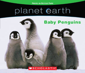 Planet Earth: Baby Penguins 