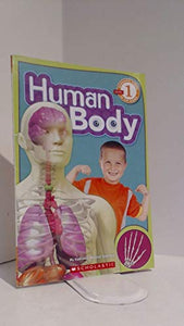 Human Body 