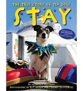 Stay, The True Story of Ten Dogs (Paperback) 