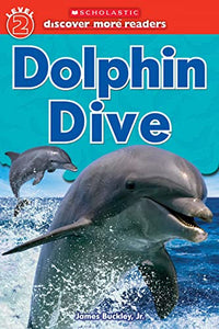 Dolphin Dive 