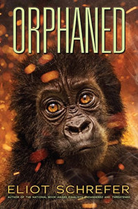 Orphaned (Ape Quartet #4) 