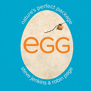 Egg: Nature's Perfect Package 