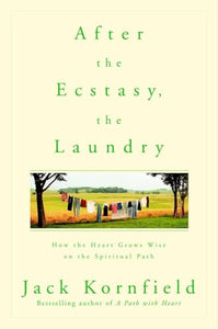 After the Ecstasy, the Laundry 