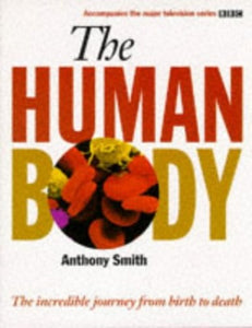 The Human Body 