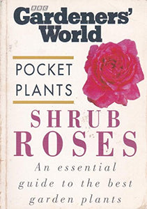 Shrub Roses 