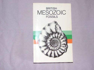 British Mesozoic Fossils 