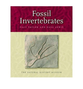 Fossil Invertebrates 