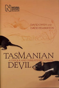 Tasmanian Devil 