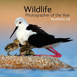 Wildlife Photographer of the Year: Portfolio 20 