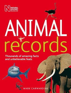 Animal Records 