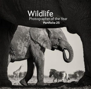 Wildlife Photographer of the Year: Portfolio 25 