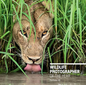 Wildlife Photographer of the Year: Portfolio 28 